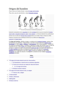 Origen del hombre (46924)