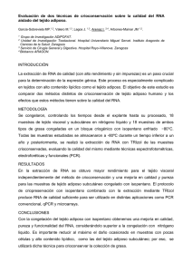 Evaluación  de  dos  técnicas  de ... aislado del tejido adiposo.