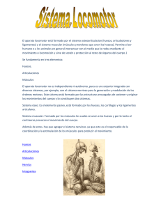 Sistema Locomotor El aparato locomotor está formado por el