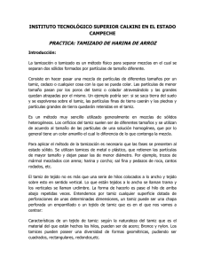 PRACTICA: TAMIZADO DE HARINA DE ARROZ CAMPECHE