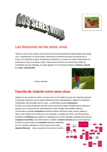 la funcion de relacion grupo 4