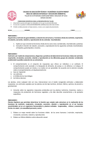 COLEGIO DE EDUCACIÓN TÉCNICA Y ACADÉMICA CELESTIN FREINET