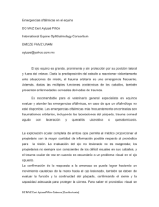 Emergencias
