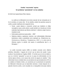 Uveitis mexicali