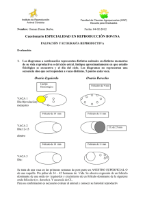 Documento711394 711394