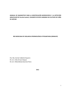 MANUAL DE DIAGNOSTICO PARA LA IDENTIFICACIÓN
