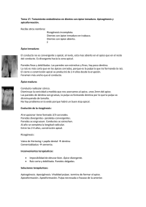 Tratamiento endodóncico en dientes con ápice - Dental-Book