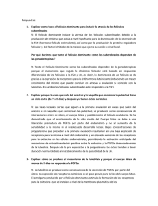 Respuestas: Explicar como hace el folículo dominante para inducir