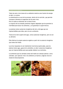 Los seres vivos se alimentan