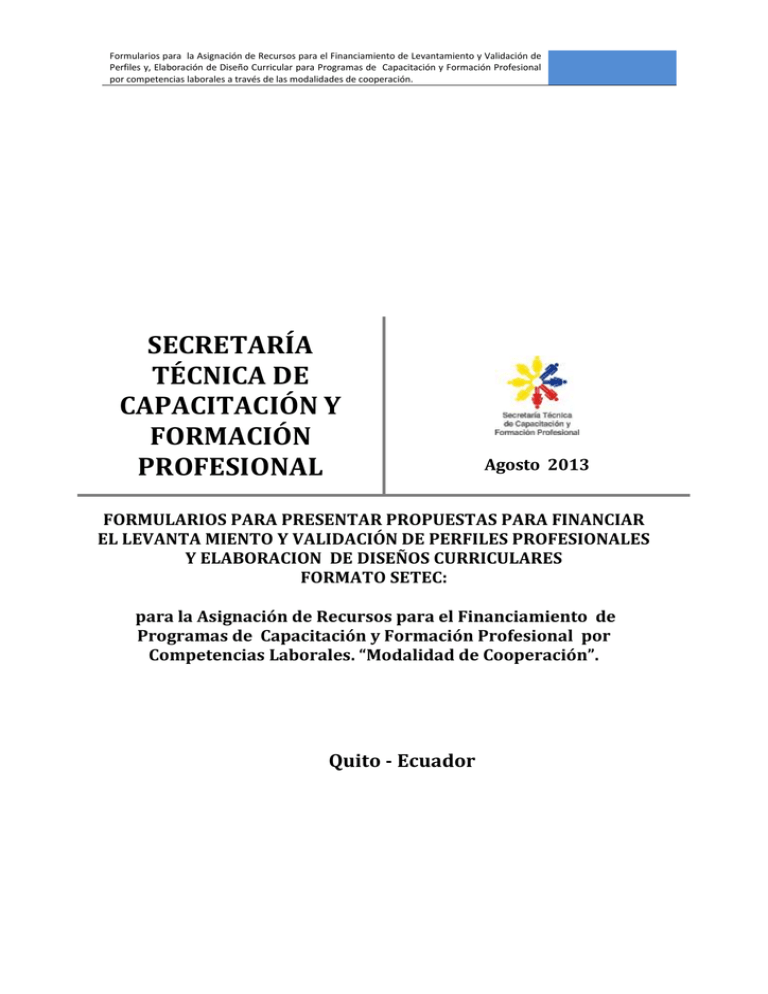 Formatos Financiamientos Perfiles Y Dise os Curriculares
