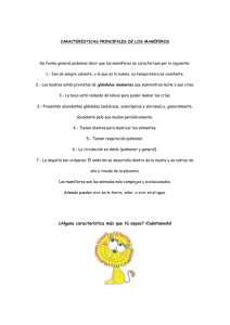 caracter  ?sticas principales de los mam