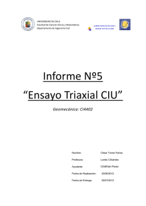 Ensayo_CIU_Cesar_Torres_Farias. - U
