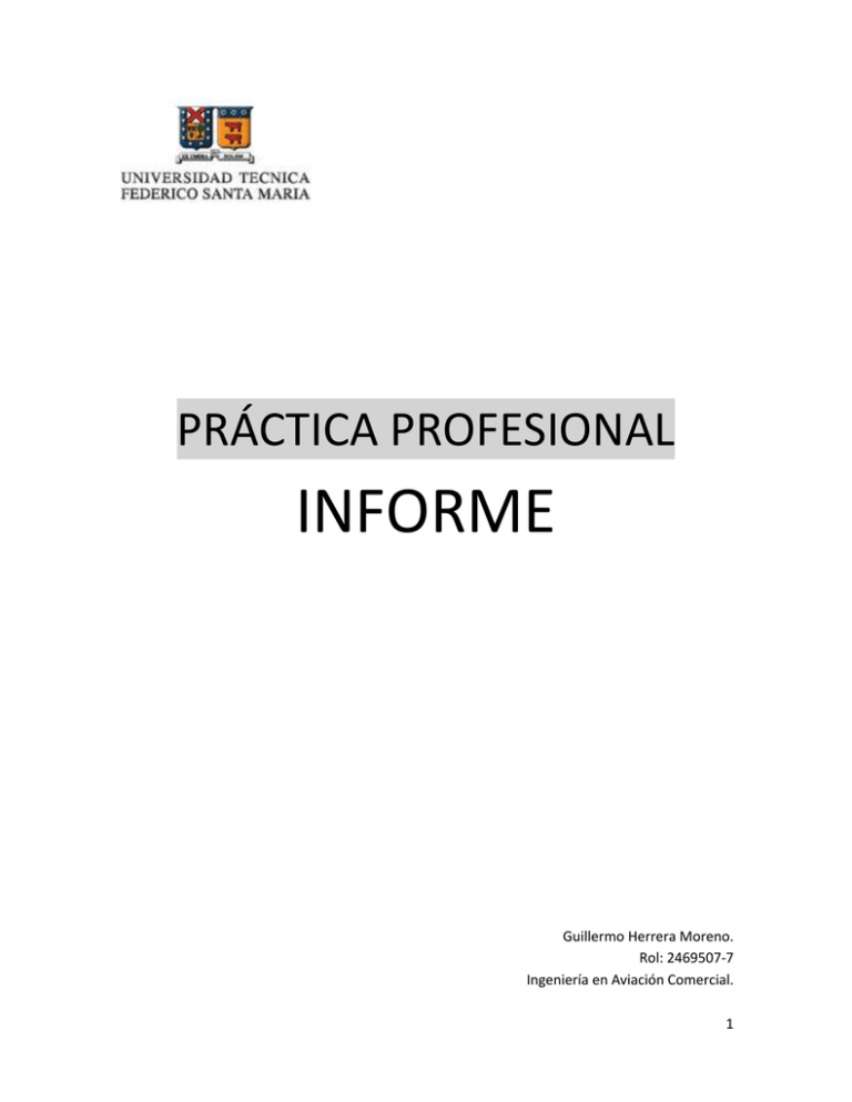 INFORME PRÁCTICA PROFESIONAL Guillermo Herrera Moreno.