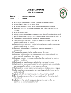 Colegio Antonino