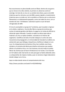 Una explicación química del ébola