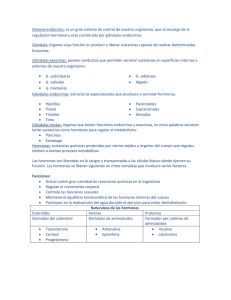 Sistema endocrino: es un gran sistema de control de nuestro