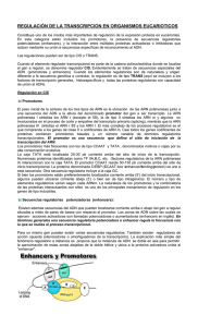 regulación de la transcripcion en organismos eucarioticos