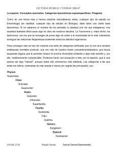 06 La especie Tax - SILADIN Oriente