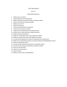GUÍA BIOLOGÍA I b.e.c.u.