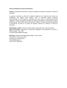 Se busca estudiante para tesina de licenciatura