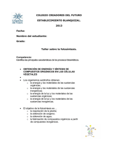 Taller sobre la fotosíntesis.