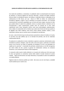 nota prensa quema muñeco
