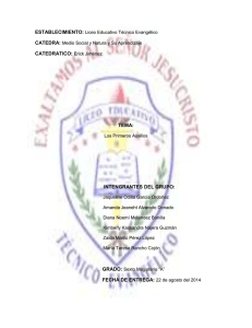 Los Primeros Auxilios
