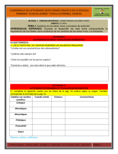 CUADERNILLO 2B NATURALES SEXTO A 12