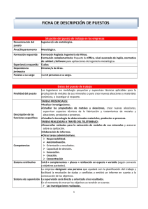 Ingeniero/a de Metalúrgica