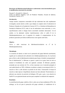 Resumen ASOVAC2012-Hidroboración