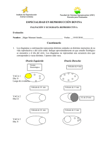 Documento777618 777618