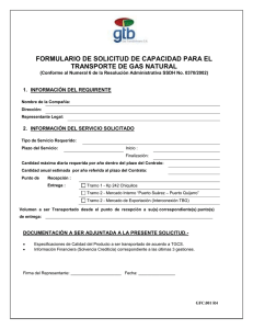 03_Formulario de Solicitud de Capacidad