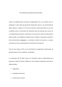 pei: nuestro horizonte institucional