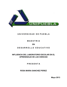 UNIVERSIDA D D E PUEBLA MAESTRIA EN DESARROLL O