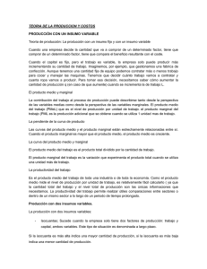 TEORIA DE LA PRODUCCION Y COSTOS PRODUCCIÓN CON UN