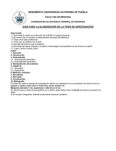 Guía para la elaboración de tesis
