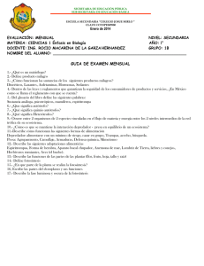 guia de examen mensual
