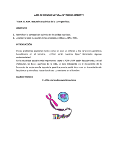 ADN: Naturaleza Química de la Clave Genética