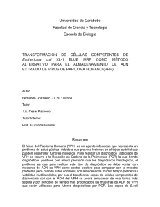 apellidonombre.doc - FACyT