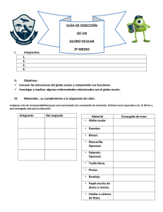 guÃa_diseccion_globo_ocular_y_trabajo_de_investigacion