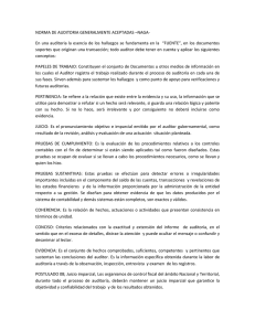 norma de auditoria generalmente aceptadas