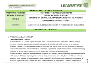 Documento862636 862636