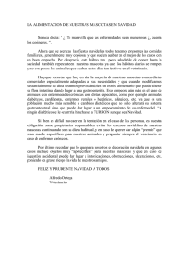 LA ALIMENTACION DE NUESTRAS MASCOTAS EN NAVIDAD