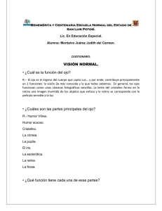 VISION_NORMAL