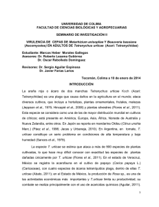 Virulencia de Hongos en Tetranychus urticae