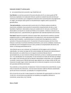 Evaluación Unidad n°2 primera parte. Las características de la