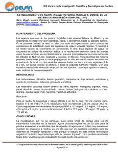 area06-res049