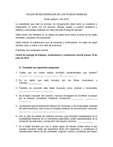 Taller de Recuperación: Tejidos Animales - 7mo Grado