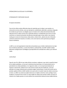 INTERACCIÓN DE LAS CÉLULAS Y SU ENTORNO y