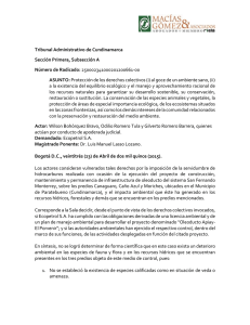 Tribunal Administrativo de Cundinamarca Sección Primera